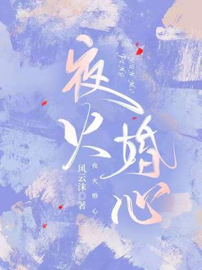 夜火txt